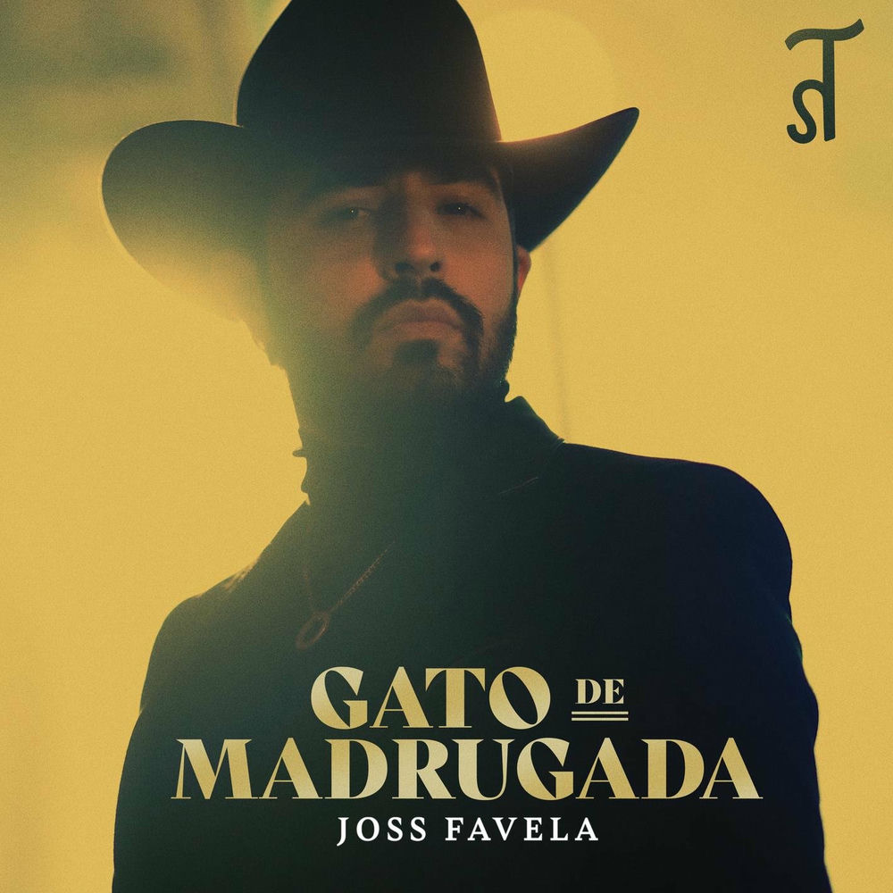 Portada de Gato de Madrugada