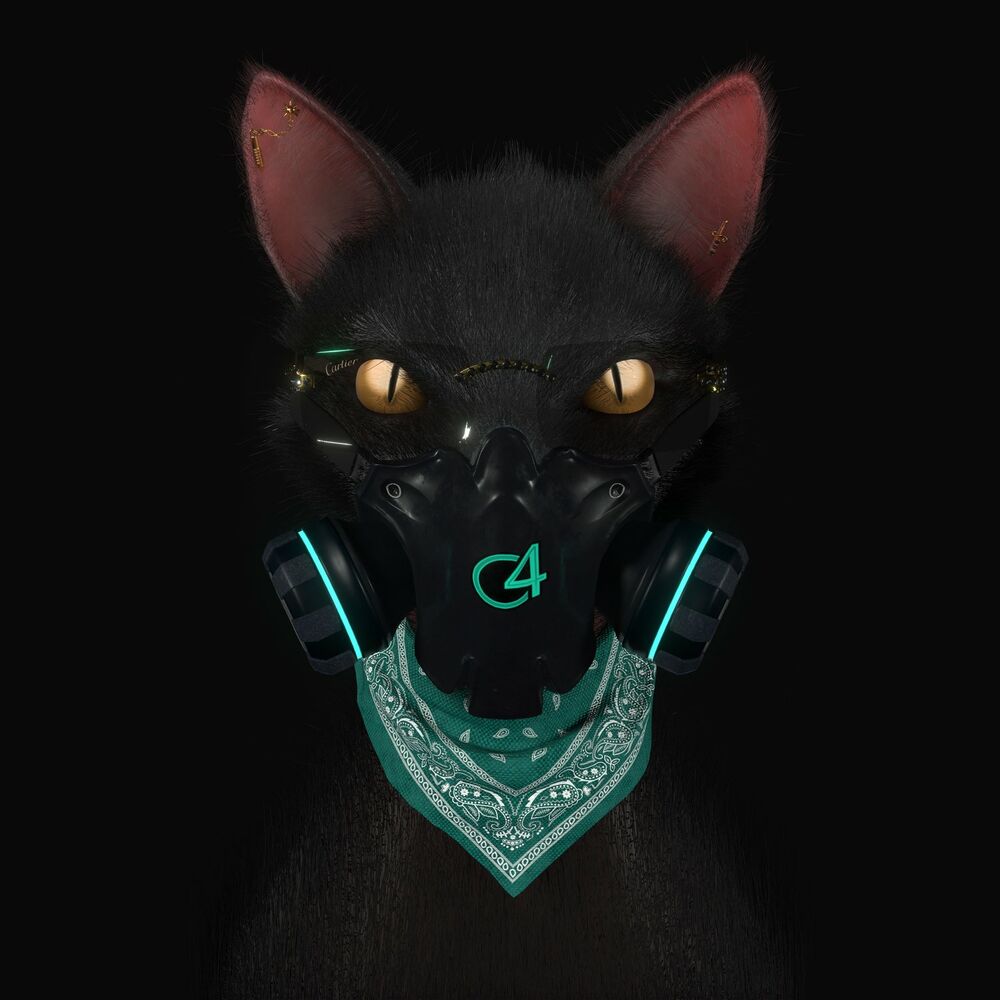 Portada de Gato de Noche