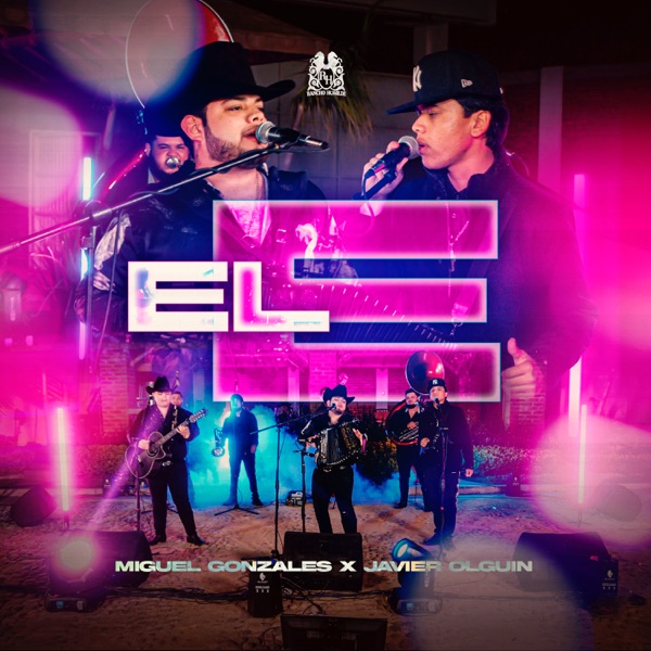 Portada de Algo Bien (En Vivo)
