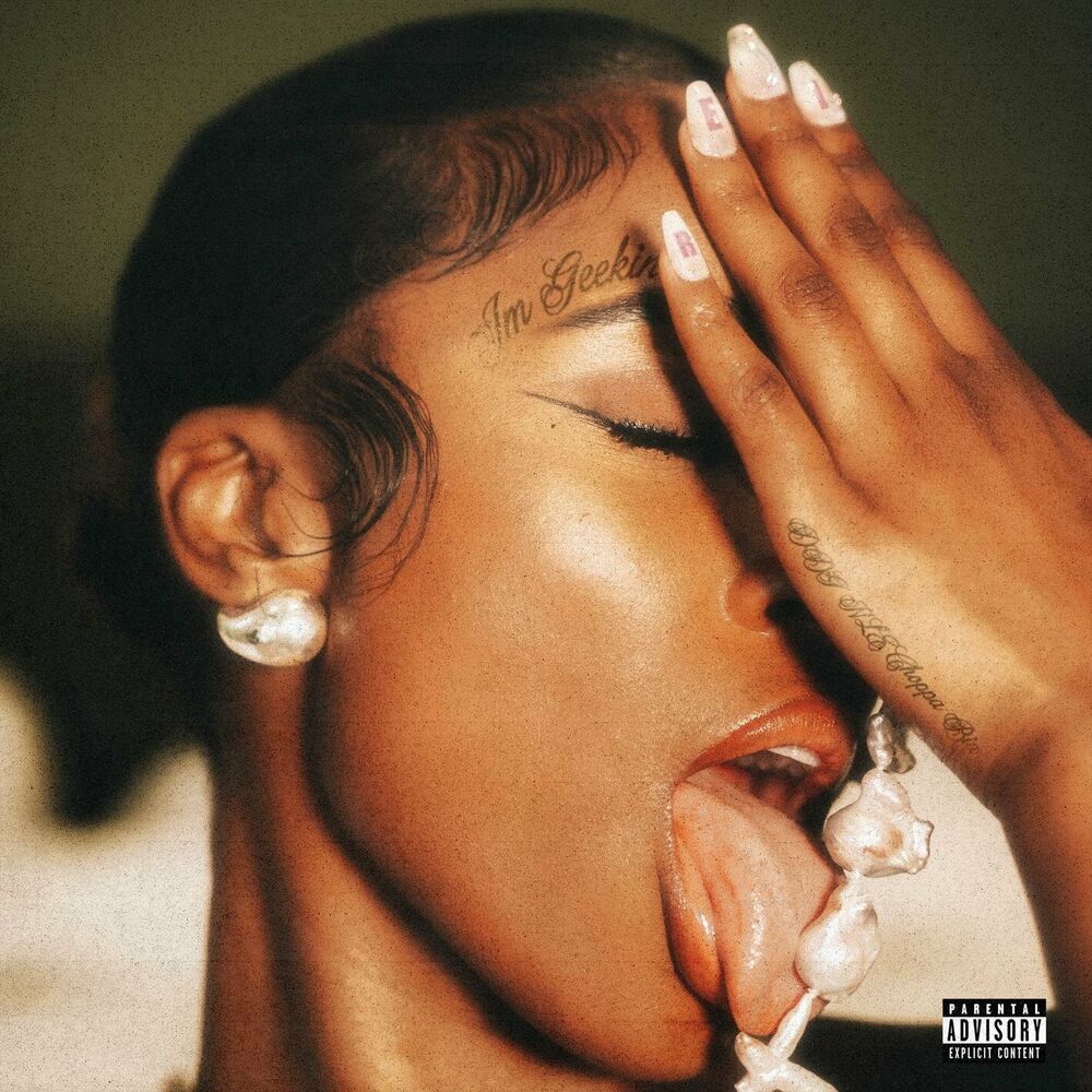 Portada de I’m Geekin (Remix)